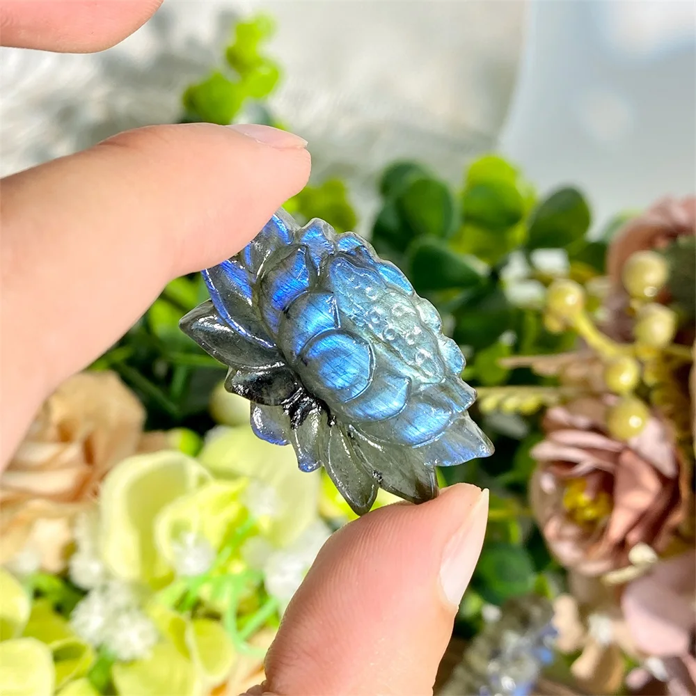 

Лабрадорит, лунный камень, лазурит и йоперлит, лотос для духовной интроспекции