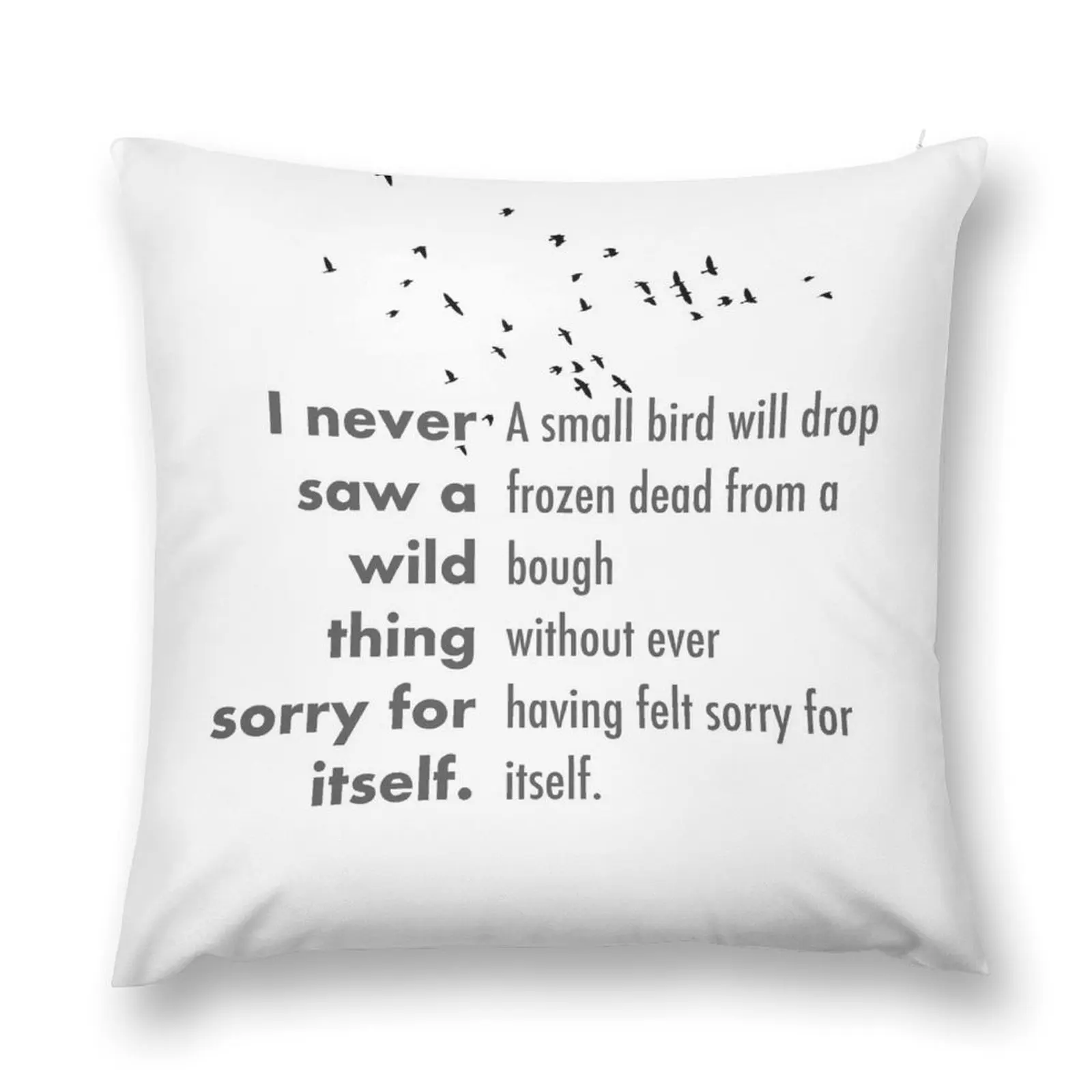 Я никогда не видела ни одной вещи извините за себя. Декоративные наволочки для
