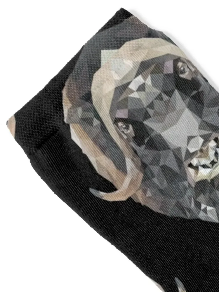 Носки Muskox рождественские чулки прозрачный комплект носки в стиле хип-хоп для