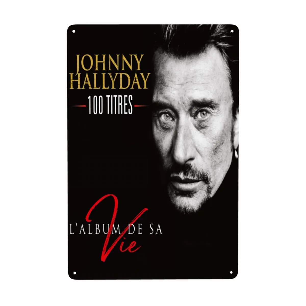 

Retro Johnny Hallyday Rock Metal Sign Personalized Singer French France Tin Plaque Yard Man Cave Bar Decorative Art