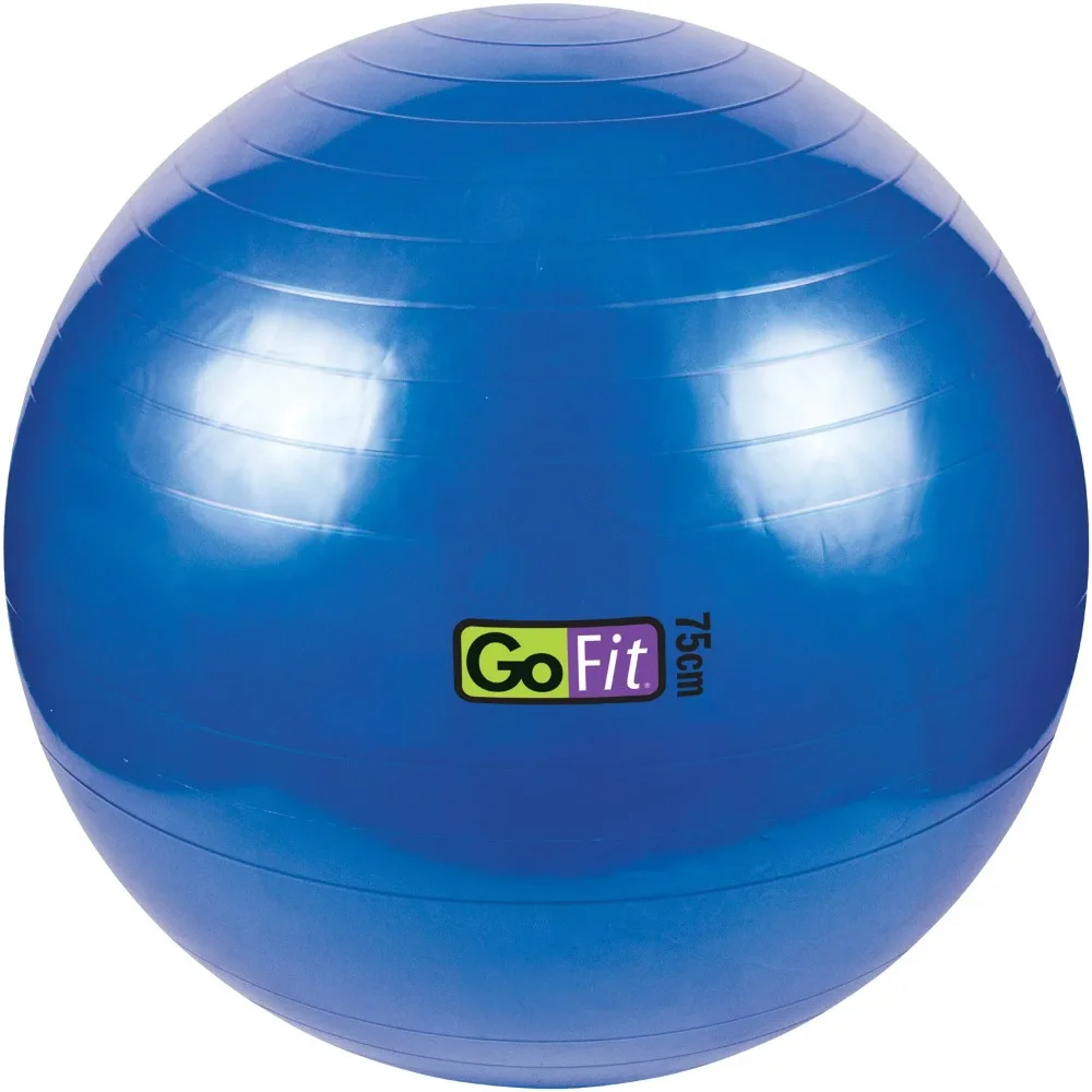 

GF-EPGYM ProGym Extreme & GF-75BALL Exercise Ball With Pump (75cm; Blue) Excercise Fitball Pilates Ball Free Shipping Pilate