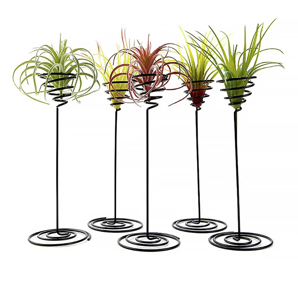 

Air Pineapple Base Soilless Plant Flower Rack Indoor Balcony Landscape Reusable Greenhouse Support Holder Ornament