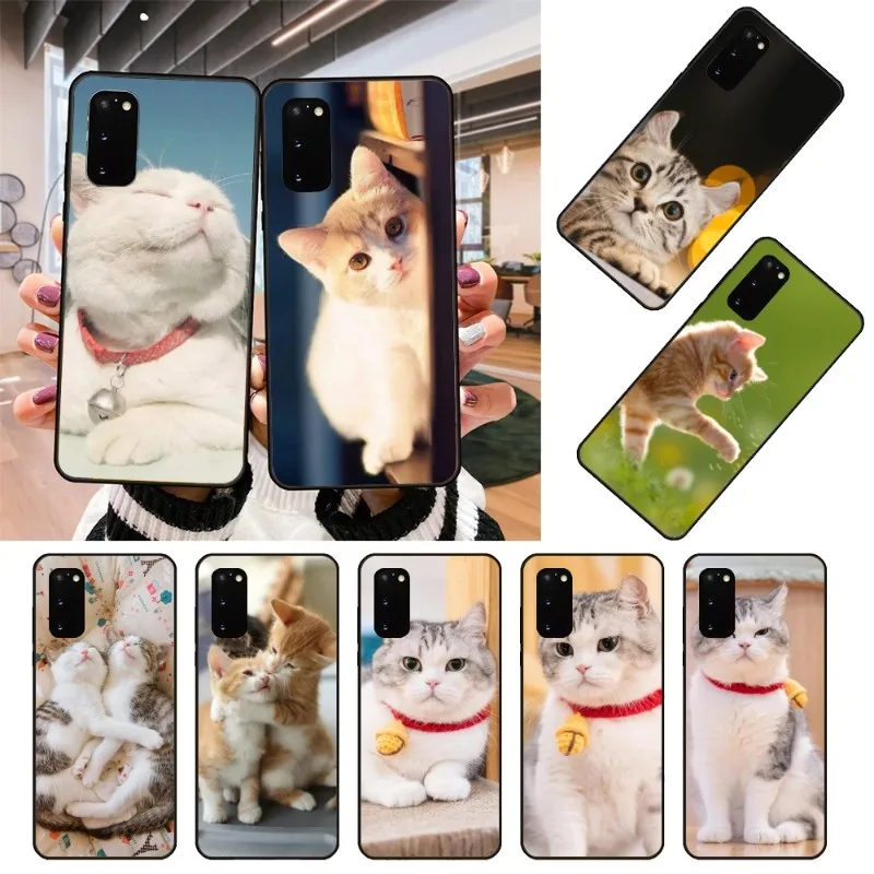 

Чехол для телефона с милым котенком для Samsung Note 9 10 20 Plus Pro Ultra J6 J5 J7 J8, мягкий черный чехол для телефона