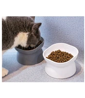 ceramic raised cat bowls tilted elevated food and water bowls protect pets spine anti vomiting for puppy kitty feeding supplies