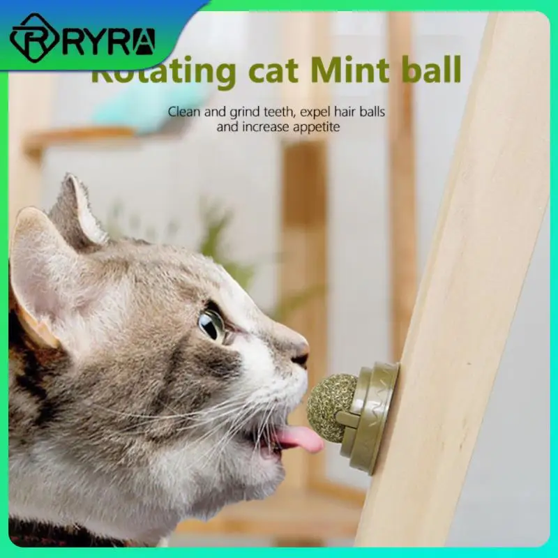 

For Cats Cat Toy Cat Litter Tray Pet Cat Tower Pet Supplies Cat Scratcher Catnip