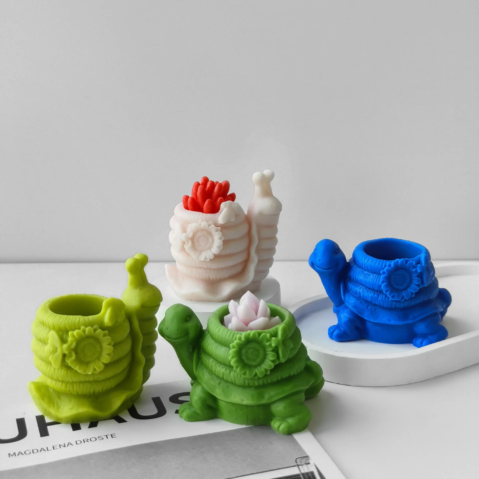 DIY улитка черепаха суккулентное растение в горшке пластырь цветочный горшок