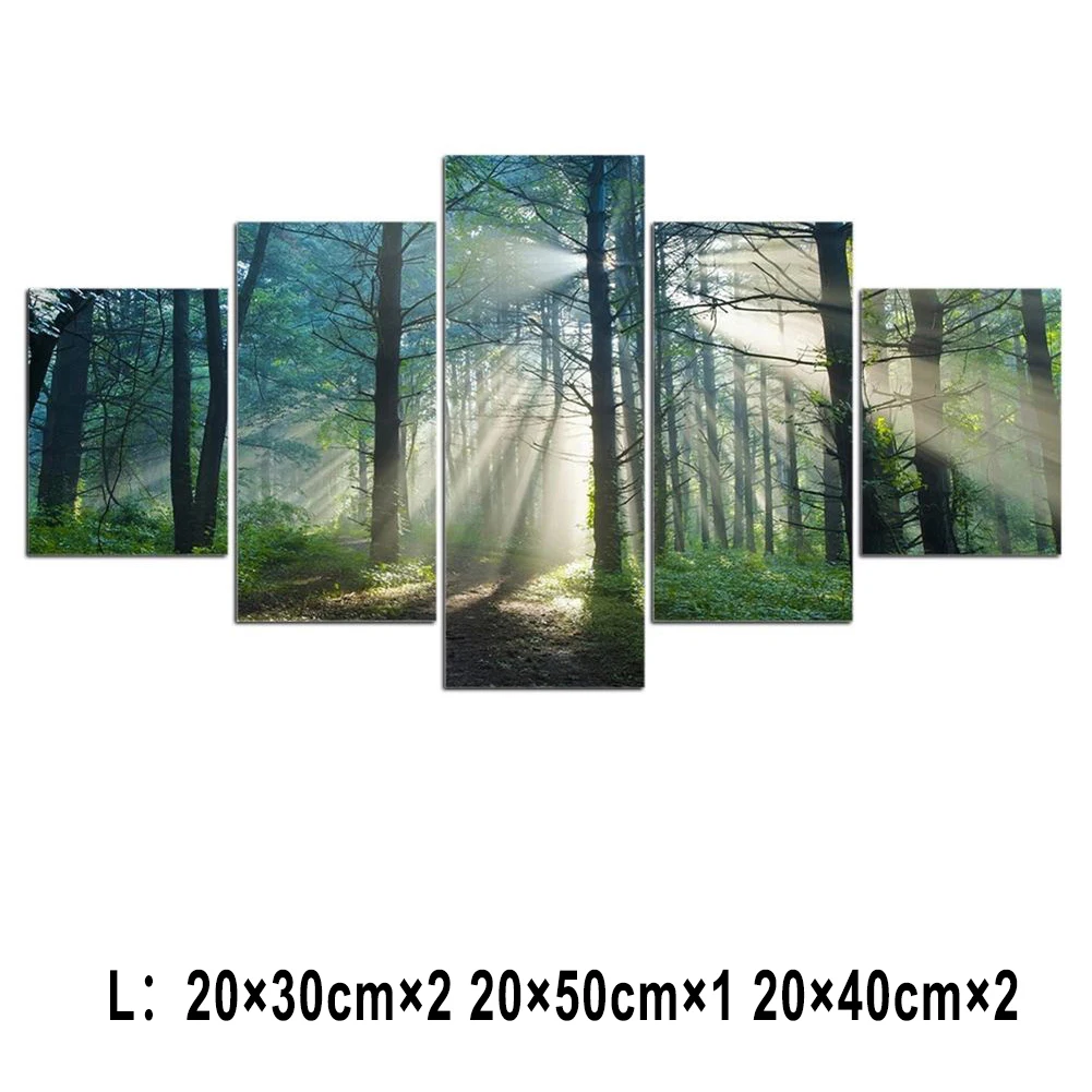 

5 шт., декоративная картина на холсте, с изображением леса и солнечного света