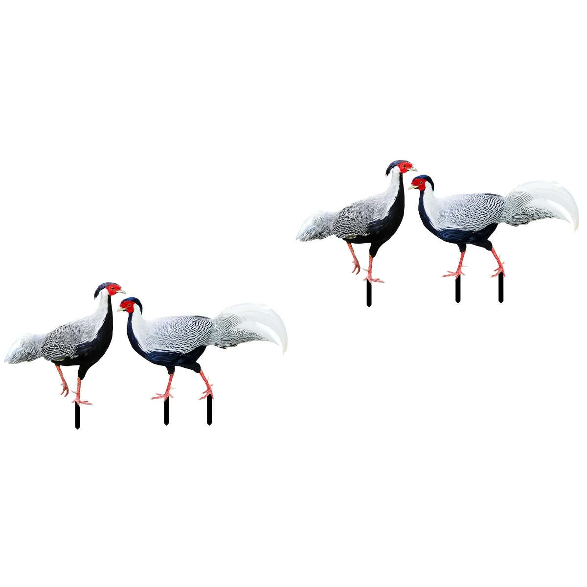 

4 Pcs Pheasant Garden Decoration Out Door Stakes Chicken Yards Decorative Sculpture Acrylic Outdoor Adornment Lawn Sign