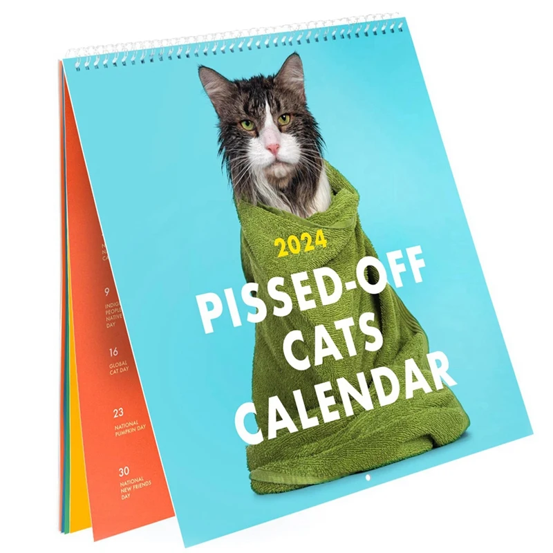 

2024 календарь с кошками-12 месяцев шуток, рождественские подарки для любителей кошек-планировщик на 12 месяцев для шуток, Рождественский подарок