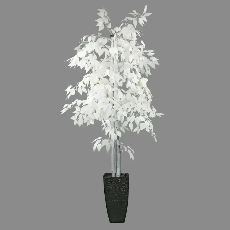 

6 Foot Tall Designer White Ficus Tree in Black Metal Pot