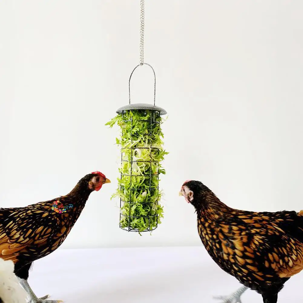 

Chicken Feeder Fruit Vegetable Basket Stress Relief Foraging Toys Bird Feeding Device For Pigeon Chick Rooster Hen