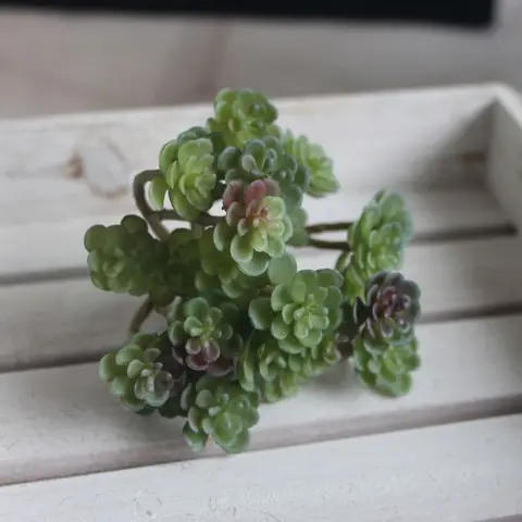 Миниатюрный искусственный кактус  BONSAI