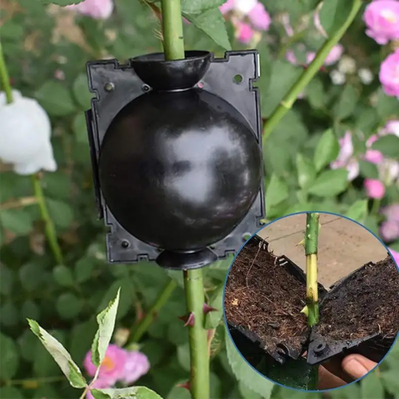 

Plant Propagation Rooting Device High Pressure Heel Controller Seedling Germination Cutting Grafting Bonsai Tool Pruning Garden