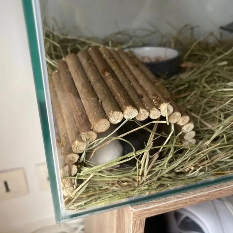 Маленькие деревянные игрушки для жевания домашние кролики домашних животных