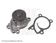 

Adn191190 for irdaim pump QASHQAI 2007---------.