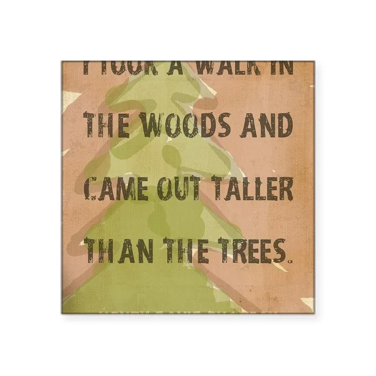 

Квадратная наклейка Thoreau Walk In The Forest Q 3 дюйма x 3 дюйма, наклейка для ноутбука, автомобиля, милое мультяшное искусство, модный общественный чем...