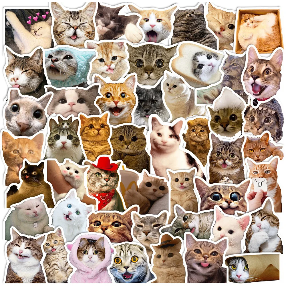 

10/30/50 PCS Cute Meme Animal Cat Kitty Stickers Decals for Laptop Notebook Luggage Car Funny Sticker Kids Baby DIY Classic Toys