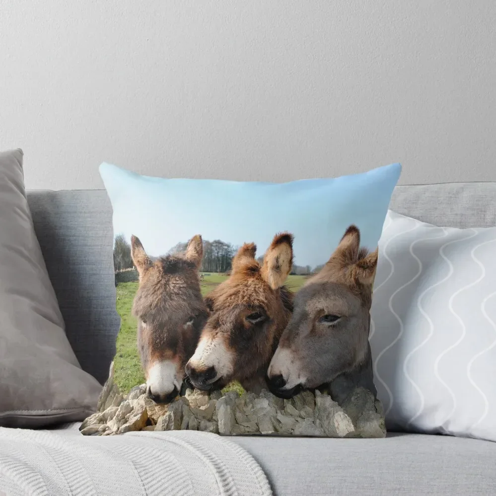 Подушки для дивана декоративные подушки роскошные диванные