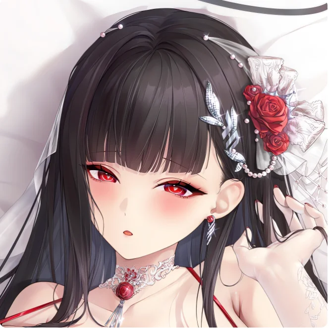 Наволочка LEOSOXS Аниме Синий Архив Нацуме Ироха валерия луиселли архив потерянных