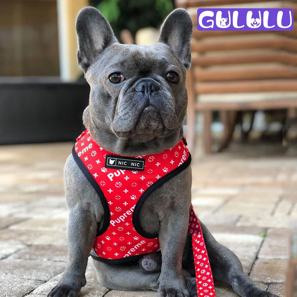 

GULULU Luxury Dog Harness Fashion Small Medium Dogs Vest Summer Dog Harness and Leash for French Bulldog Set Puppy Accessories