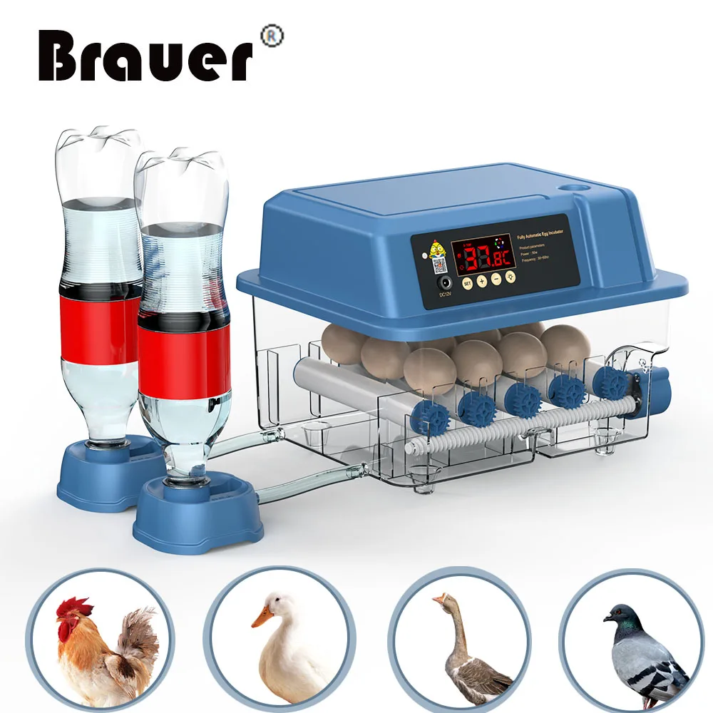 

220V Digital Brooder 12Eggs Incubator Fully Automatic for Chicken Goose Quail Incubation Turner Equipment Hatchery Poultry Tools