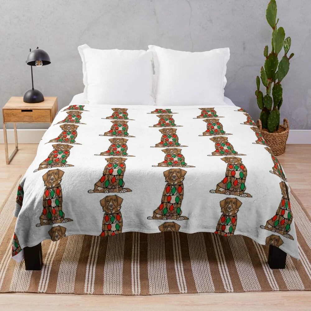 Собака Толлер с рождественскими огнями обернутая вокруг тела — праздничный и