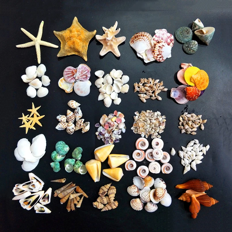 Starfish Crafts Decor Starfish DIY Shell Sea Fish Party Beige