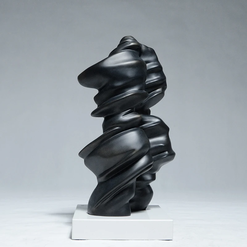 Абстрактные входные украшения искусство гостиница гостиная высококачественное