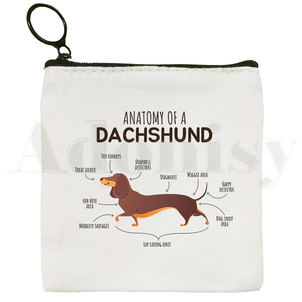 Anatomy Life Is Better With A Dachshund Funny Coin Purse Illustration Key Case Simple Small Cloth Bag New Creative Coin Purse