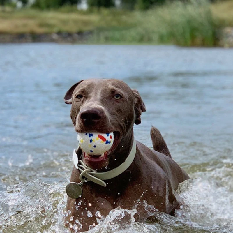 

Игрушечный мяч для питомца высокоэластичный ударопрочный кусающий мяч для кошек и собак ТПУ не гнит, чтобы защитить зубы во время тренирово...