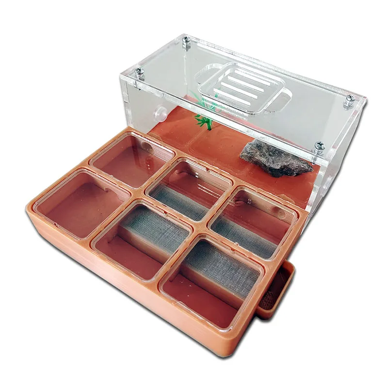 

3D Concrete Flat Ant Farm Ecological Ant Nest with Drinker Pet Anthill Workshop Moisturizing Ant House with Hunting Area Insect