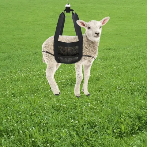 Слинг для взвешивания животных  Calf Sling For Weighing Small Animals