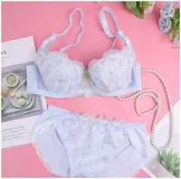 beautiful korean underwear sexy japanese white blue panties push up bra set lace embroidery clothes kawaii lingerie femme 2022