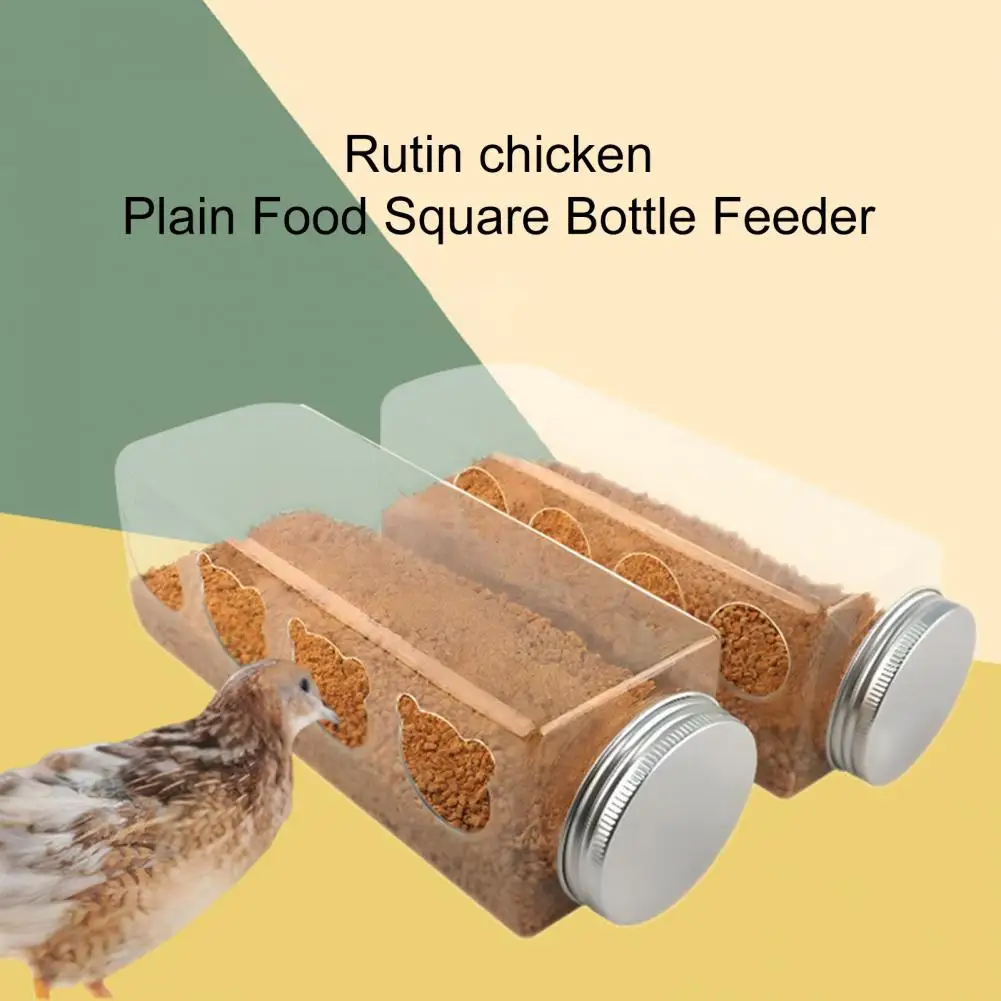 Chicken Feeder Bottle Lid Design Transparent Drinking Fountain Plastic Poultry Grain Water Feed Dispenser Pet Supplies
