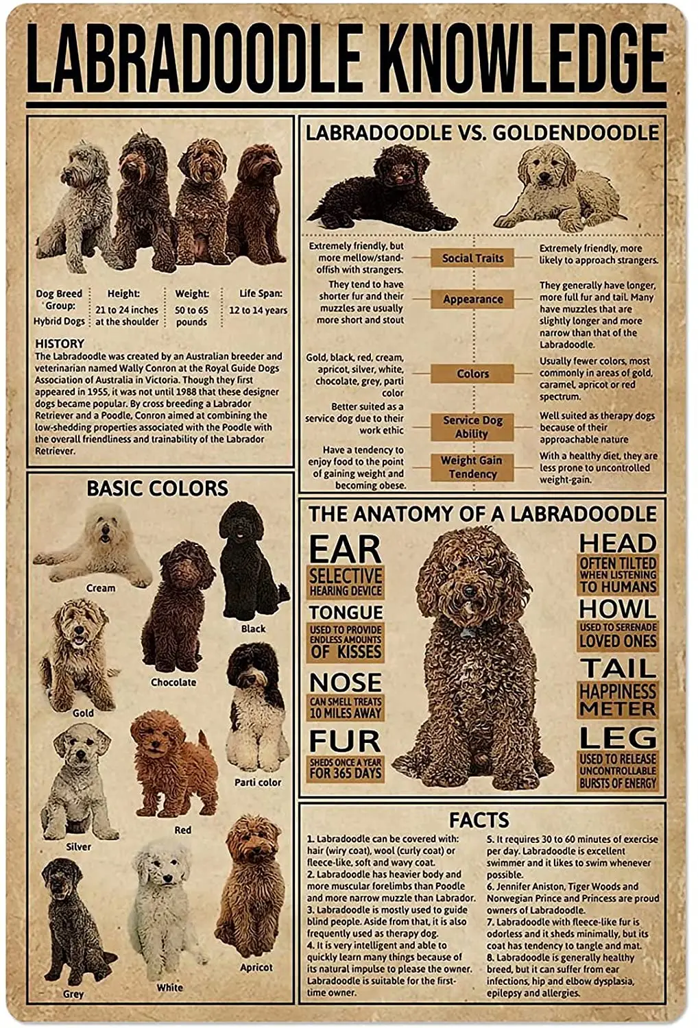 

Labradoodle Knowledge Metal Sign Dog Anatomy Color Facts Tin Poster Pet Shop Club Home Kitchen Garage Wall Plaque 8x12 Inches