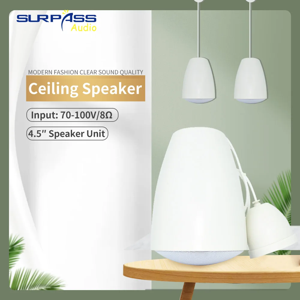 

70V 100V Audio Indoor Hanging Speaker Decorative Horn Loudspeaker Public Address System Wall-mounted for Coffee Shop Restaurant