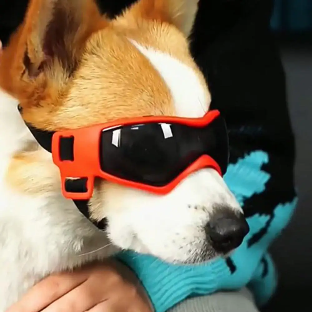 

Pet Glasses Dogs Sunglasses UV Protection Adjustable Goggles Pet Supplies Schnauzer Golden Retrievers Samoyed Bulldogs Eyewear