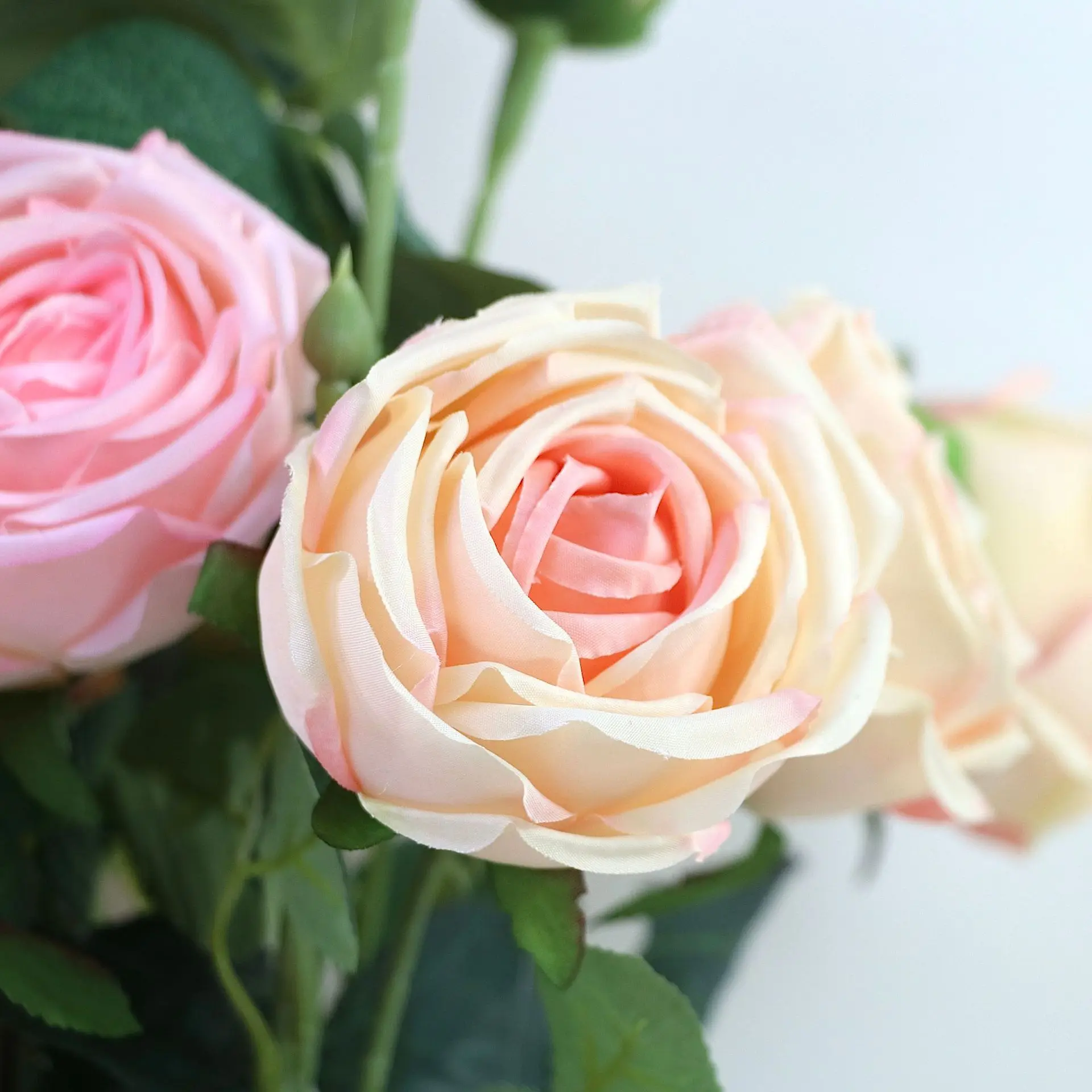 5 шт./лот искусственные 3-головные розы шелковые цветы для украшения дома