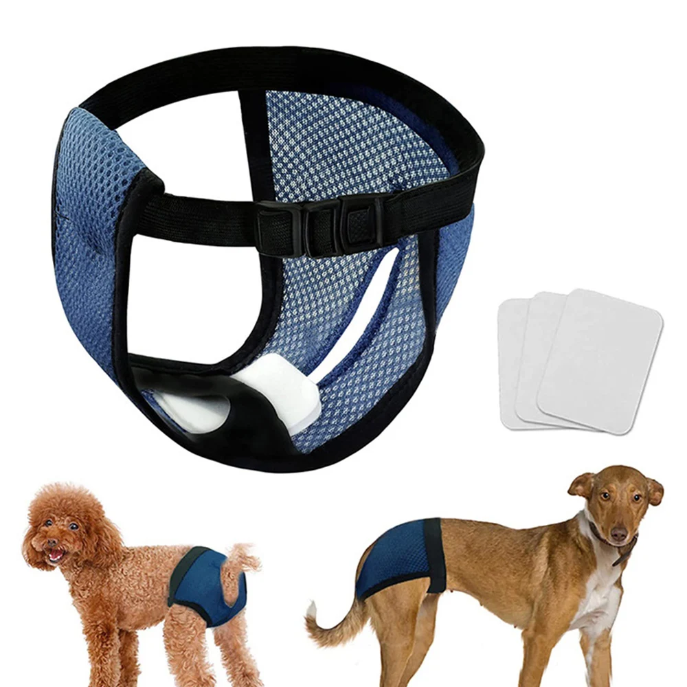 

Подгузники для собак, одежда, дышащие женские физиологические штаны для собак, Регулируемые защитные трусики для домашних животных, женские менструальные штаны для собак против домогательств