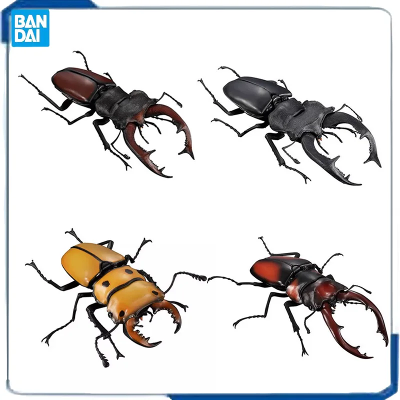 

Bandai Original Gashapon Insect Simulation Biographical Book Lucanidae Manticora Beetle Action Figures Ornament Model Toys