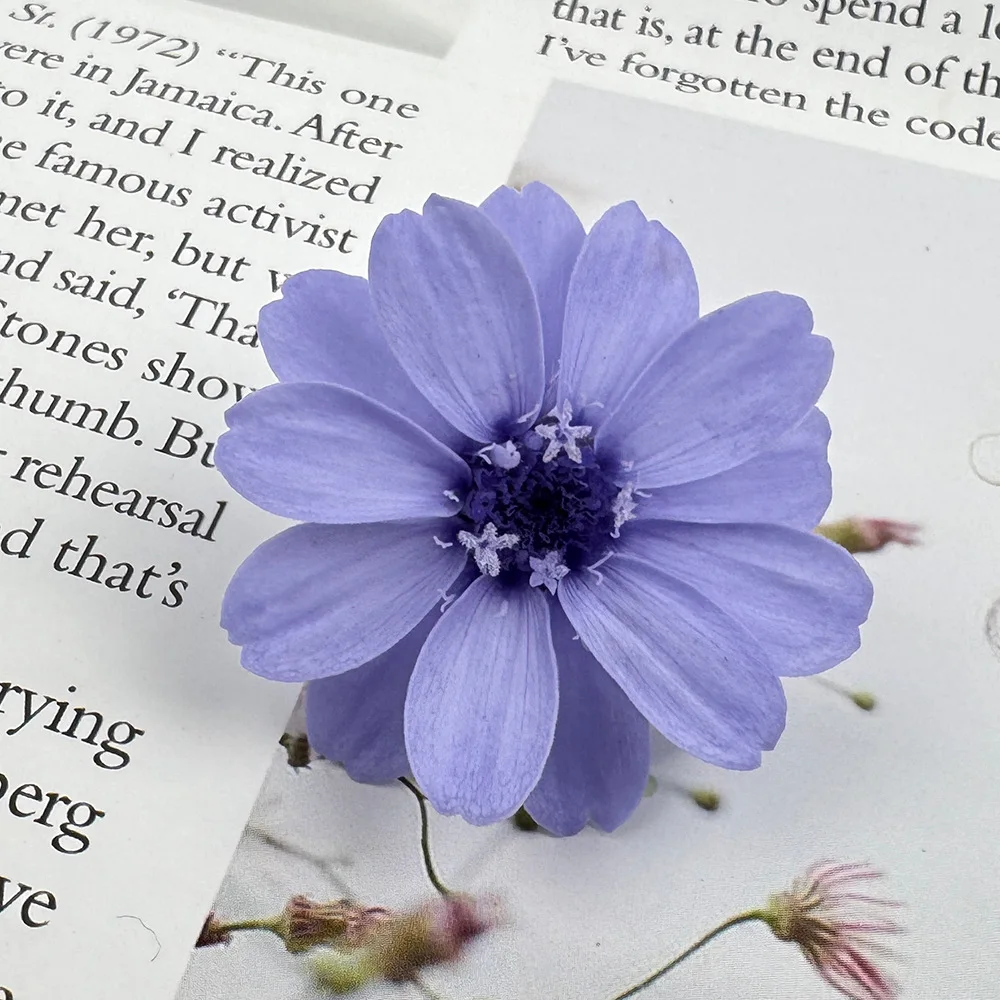 

Консервированные цветы Гольфир, набор из 12 штук