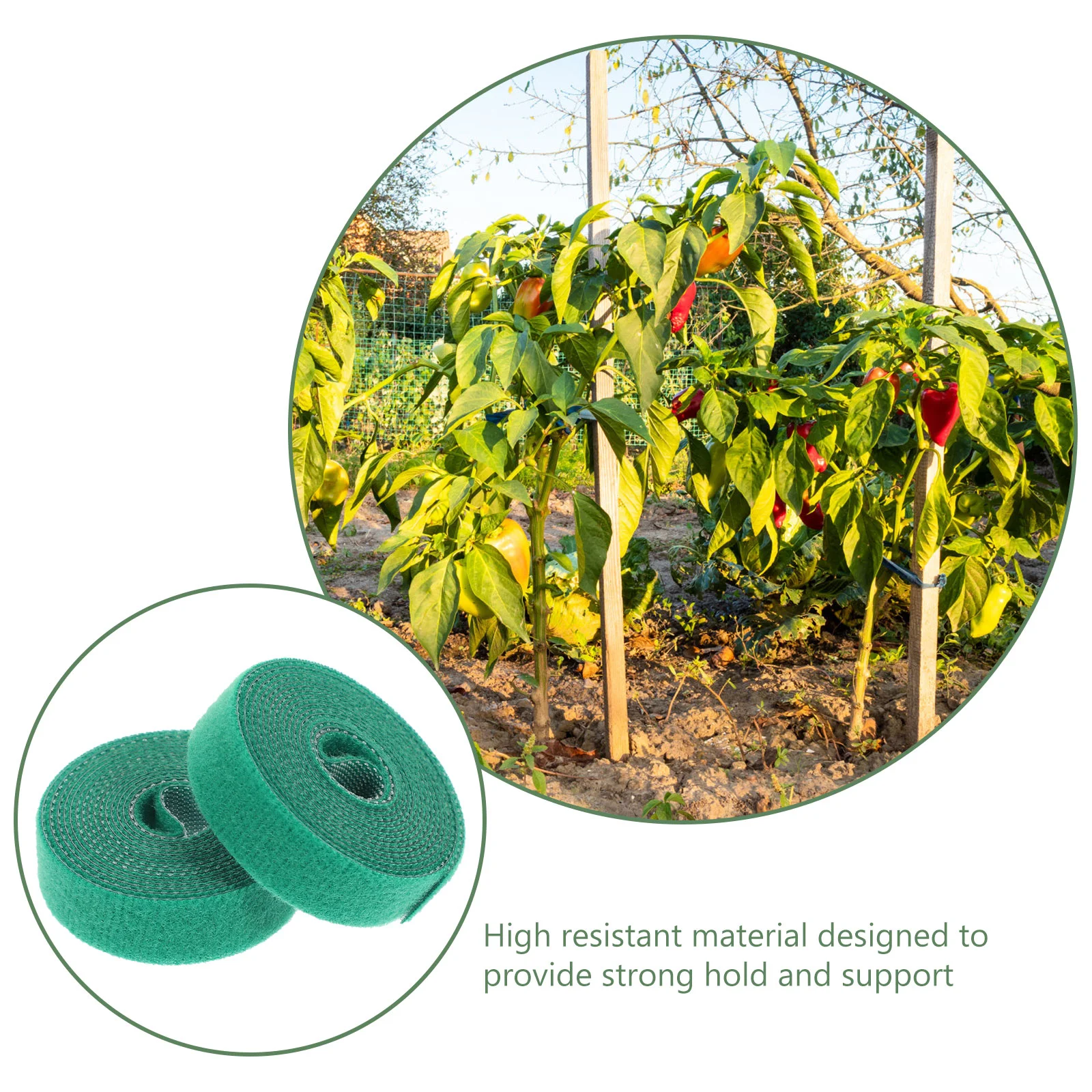 

Tie Tapegarden tiesмногоразовые поддерживающие ремни, фиксирующие нейлоновые ветви, кабель для лозы, альпинизма, садоводства, Cordstrap, зеленые кустарн...