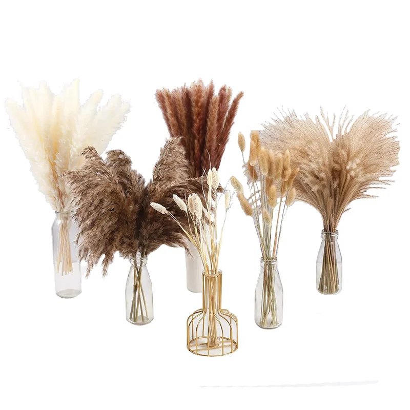 

100Pcs Dried Pampas Grass Decor,Natural Home Decor, Phragmites Dried Flowers, Fluffy Stem Bouquet Wedding Boho