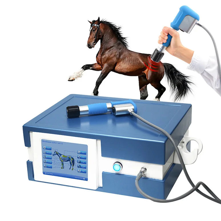 

Shock Wave Therapy Acoustic Shockwave Pain Relief Extracorporeal Pulse Activation Treatment