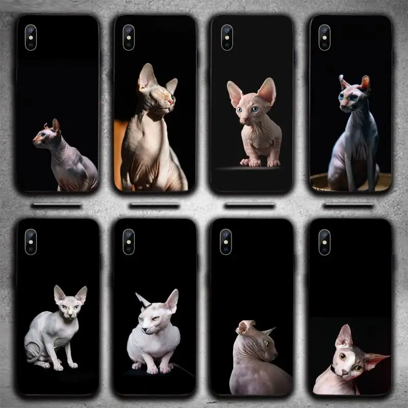 

sphynx cat cute animal Phone Case For iphone 12 11 13 7 8 6 s plus x xs xr pro max mini