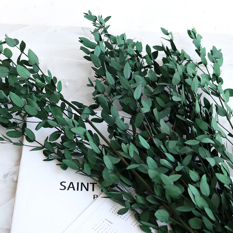 

Эвкалипт, натуральные цветы, 100 г