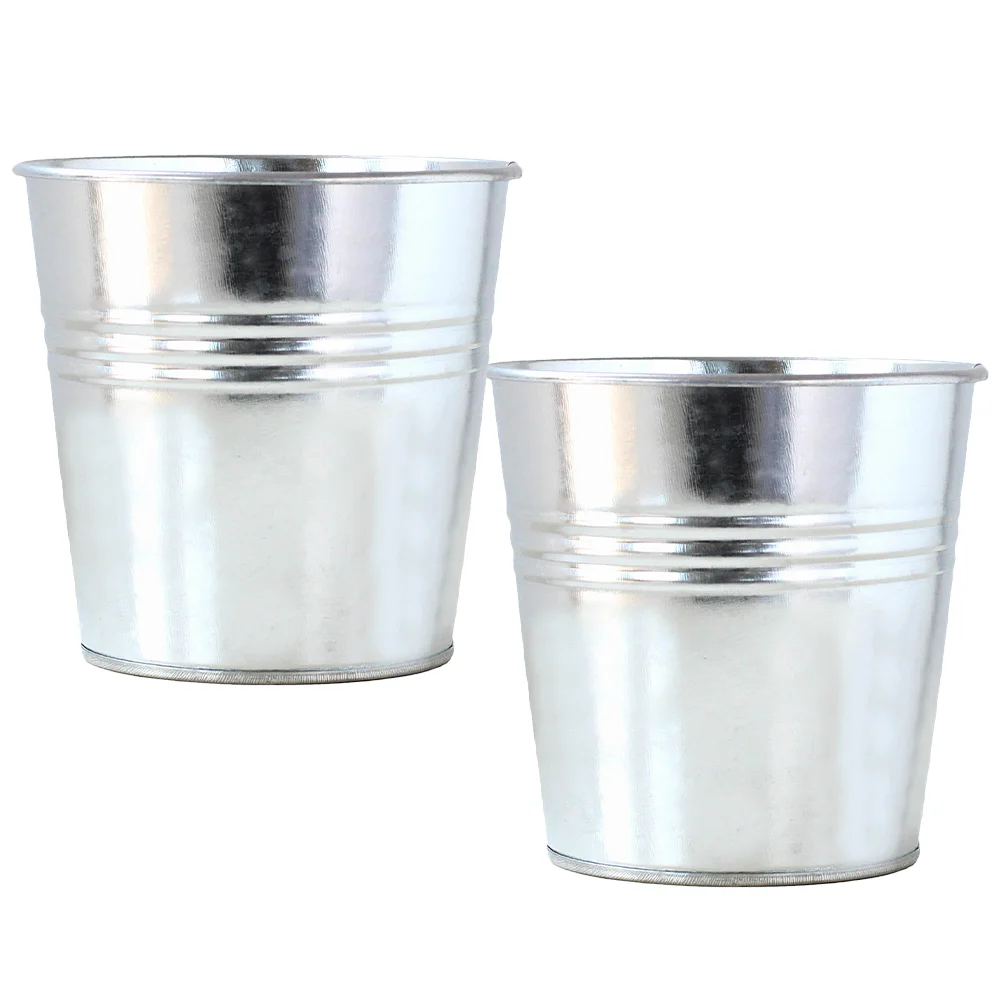

2 Pcs Vintage Decor Home Flower Bucket Succulent Bowl Small Metal Pot Iron Office