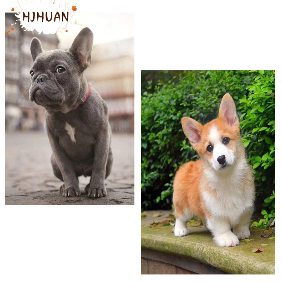 

Набор для алмазной вышивки «сделай сам», картина из квадратных/круглых страз 5D с изображением собак, мозаика