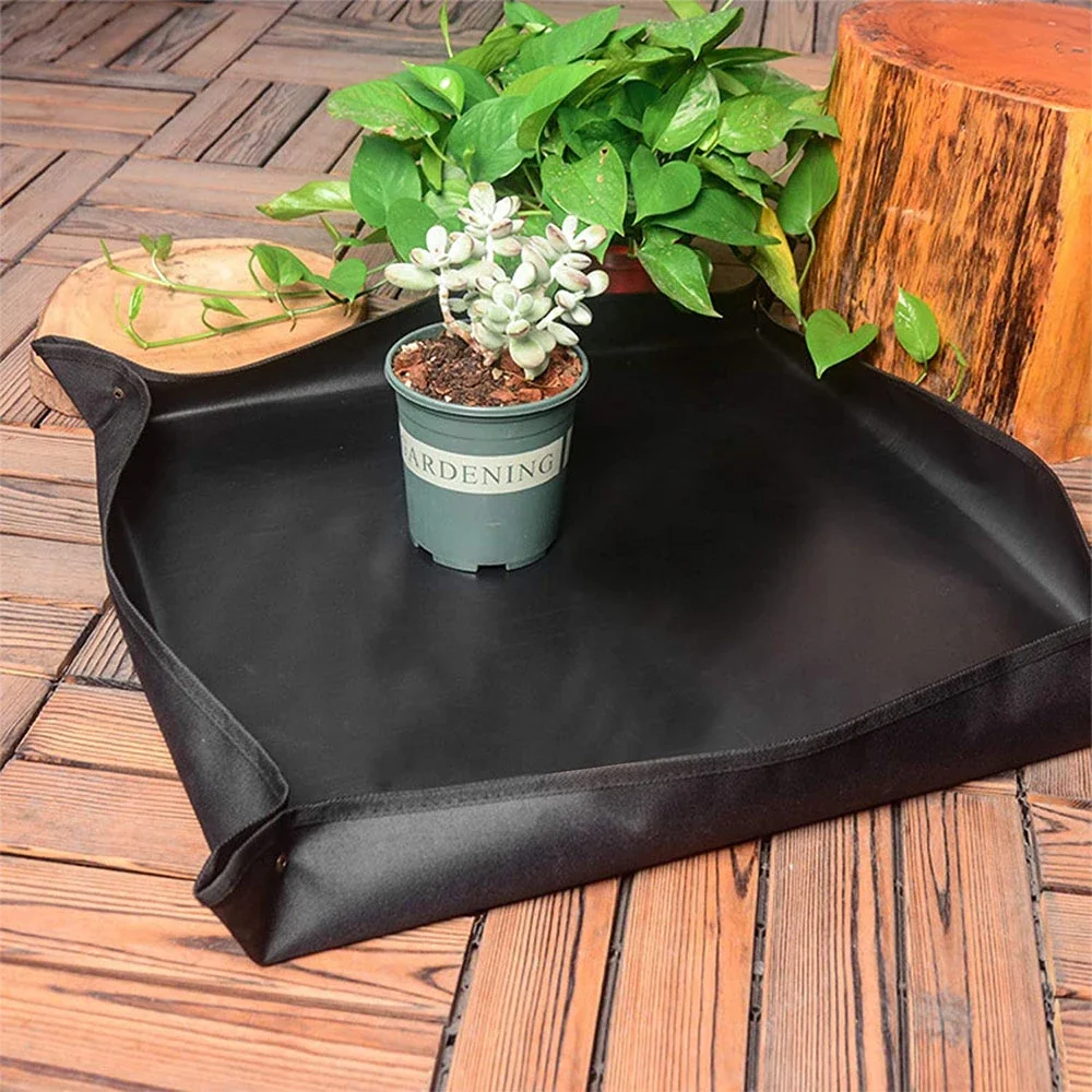 Набор инструментов для выращивания растений суккулентов |