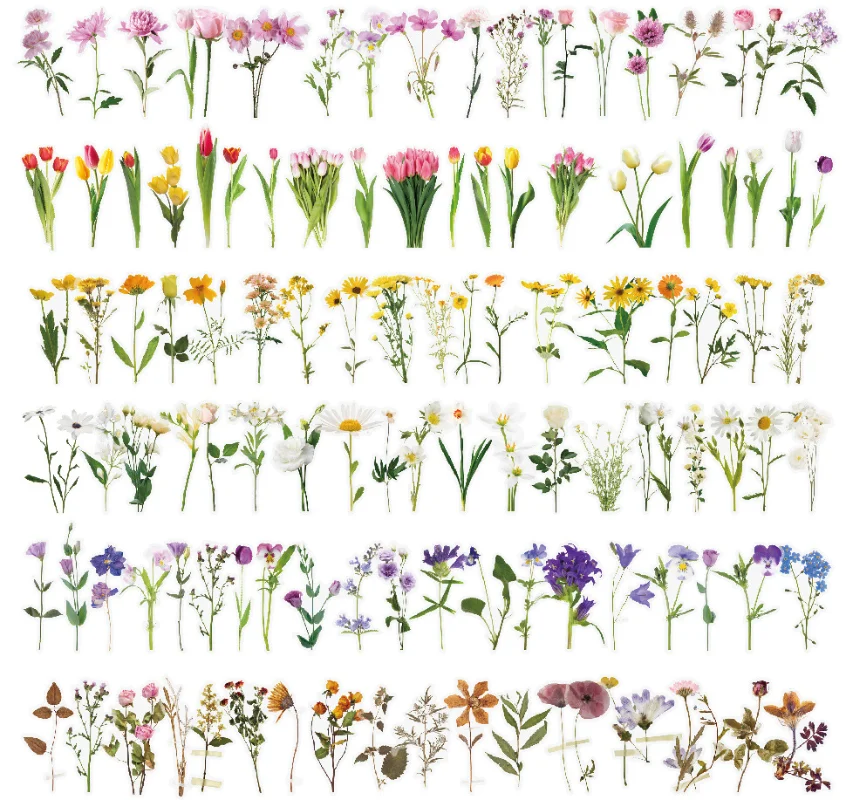 

Flower Sticker Waterproof Transparent Creative DIY Water Cup Laptop Suitcase Skateboard Guitar Phone Cartoon Stickers Kid Gift
